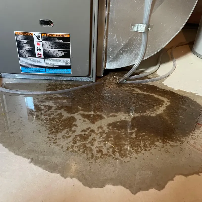 Appliance Leak Cleanup in Burleson, TX